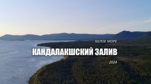 Белое море 2024