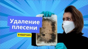 Как избавиться от плесени