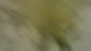 дымовая шашка