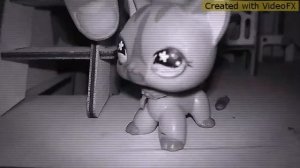 LPS Клип под песню *Дин Дон*