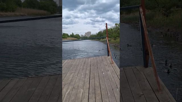 Время провождения на рыбалке и в парке #парк #shorts #рыбалка #fishing