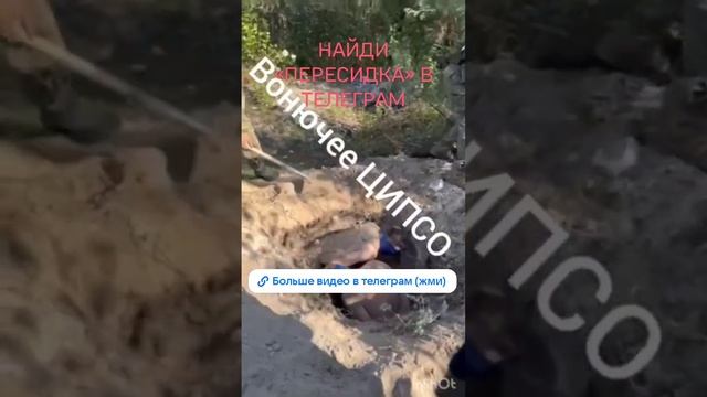 Подборка видео СВО