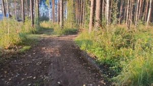 НАЧАЛО МАРШРУТА "СЫСЕРТСКАЯ СОТНЯ "