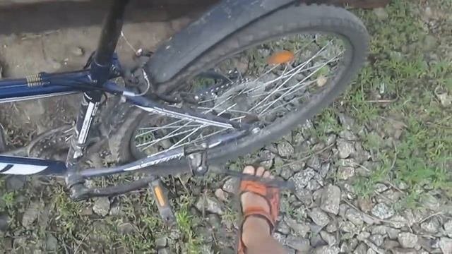 Смотрим на поезда...