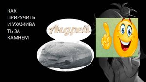 как приручить и ухаживать за камнем краткий гайд