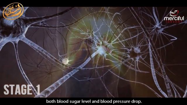Что происходит с нашим организмом во время поста смотреть онлайн