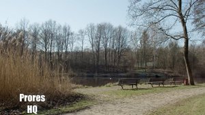 Blackmagic Raw vs Prores Blackmagic Pocket Cinema Camera 4k