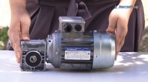 Редуктор Motovario NMRV  025-090-125