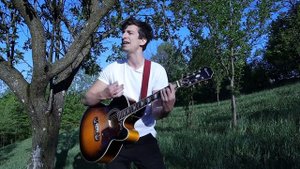 The Cat Empire - Lost Song (acoustic Cover by Alex Stefanescu)