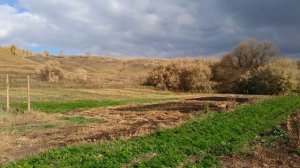 Гербицидная обработка участка