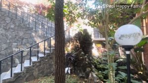 Review Kamar Hotel Deluxe Garden View Di Jambuluwuk Resort Batu Malang | Disini Bisa Sewa Per Kamar