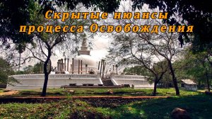 Скрытые нюансы процесса Освобождения