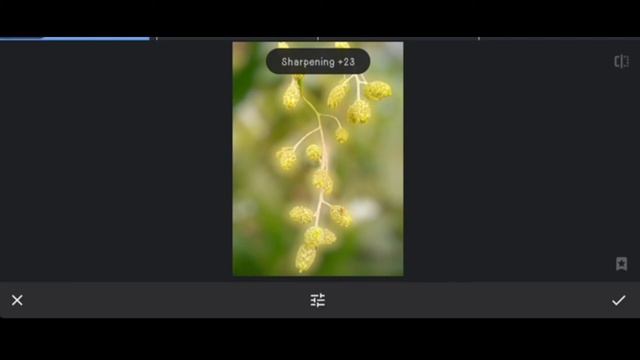 Blur Background Change Photo Editing | Snapseed Tutorial | Android | IPhone