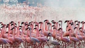 Genesis - I Can't Dance [Tenown Remix]