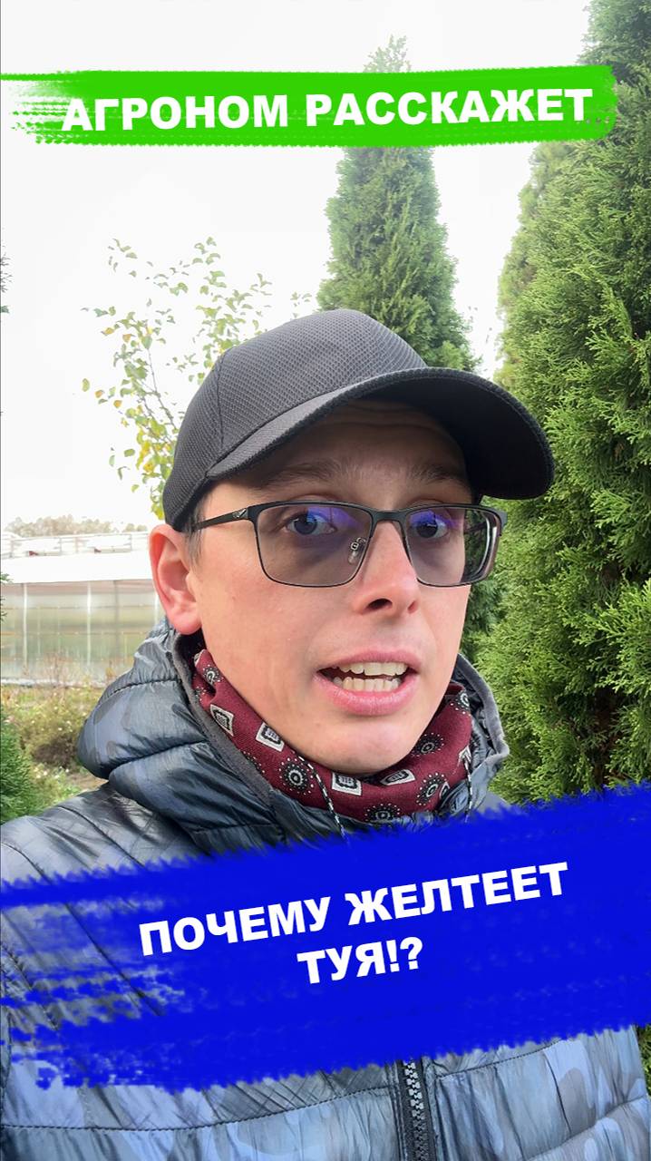ПОЧЕМУ ЖЕЛТЕЕТ ТУЯ!?