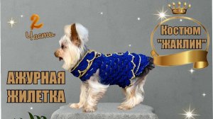 2 часть мастер-класса по вязанию крючком костюма для собак «Жаклин»: Ажурная жилетка