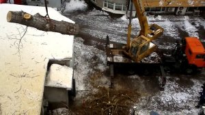 Удаление дерева с помощью крана 2