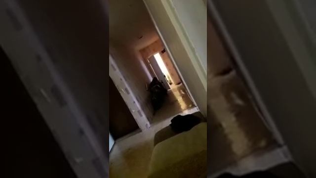 НЕАДЕКВАТНАЯ СОСЕДКА часть 1 смотреть онлайн