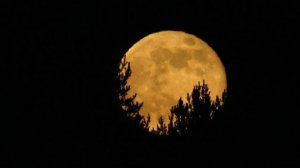 4154929-hd_1920_1080_30fps