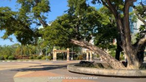 Ulanzi 65 mm on iPhone 13 Pro lenses