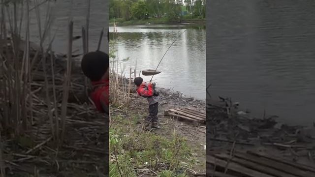 Вот так надо рыбку тягать и без всяких новомодных Паноптиксов😅