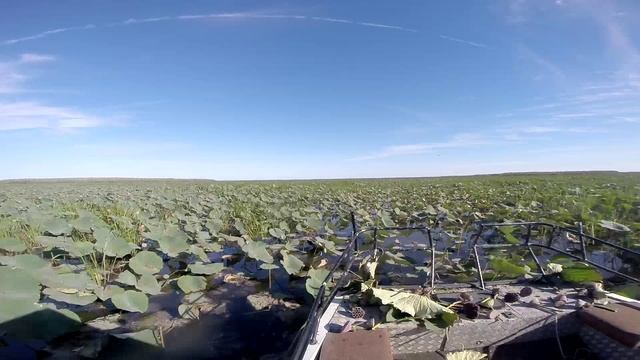 Сквозь лотос смотреть онлайн