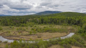 Малая Сатка