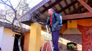 Искореняющая обработка сада весной. Обработай сад этим ранней весной до распускания почек!