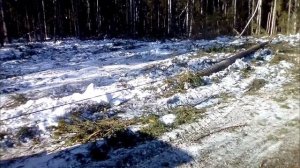 испытание лебедки на задней навеске юмз   от газ 66(трелевка леса)