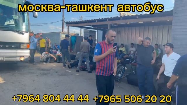москва-ташкент автобус москва-бухара автобус москва-узбекистан автобус#автобус