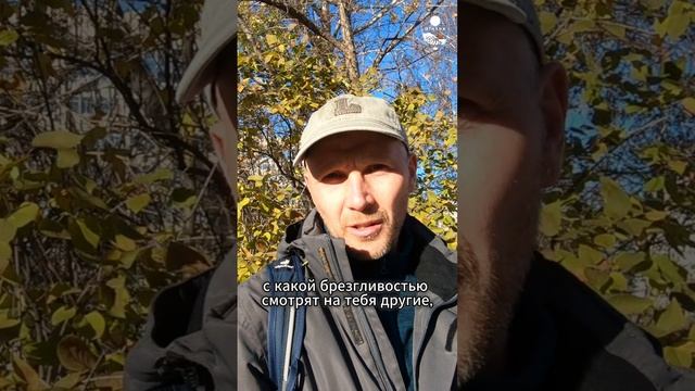 Представь себя на месте своей собаки— научись понимать её!
