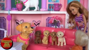 Сериал куклы Барби Жизнь в доме мечты, Таффи родила щенят, Барби и Щенки Мультфильм для детей