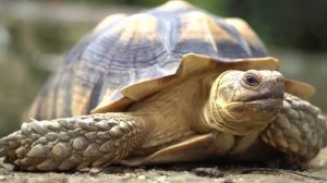 İkiye On Kala - Kafamda Kentsel Dönüşümler