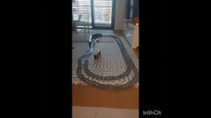Lego City Trains 60197/vs/60337