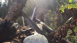 Стрельба из ружья Иж 81 по мишеням