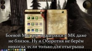 Dragon age: Origins - гайд по компаньонам, ч.2 (ТЛДР, Алистер/Логейн, Морриган, Винн)