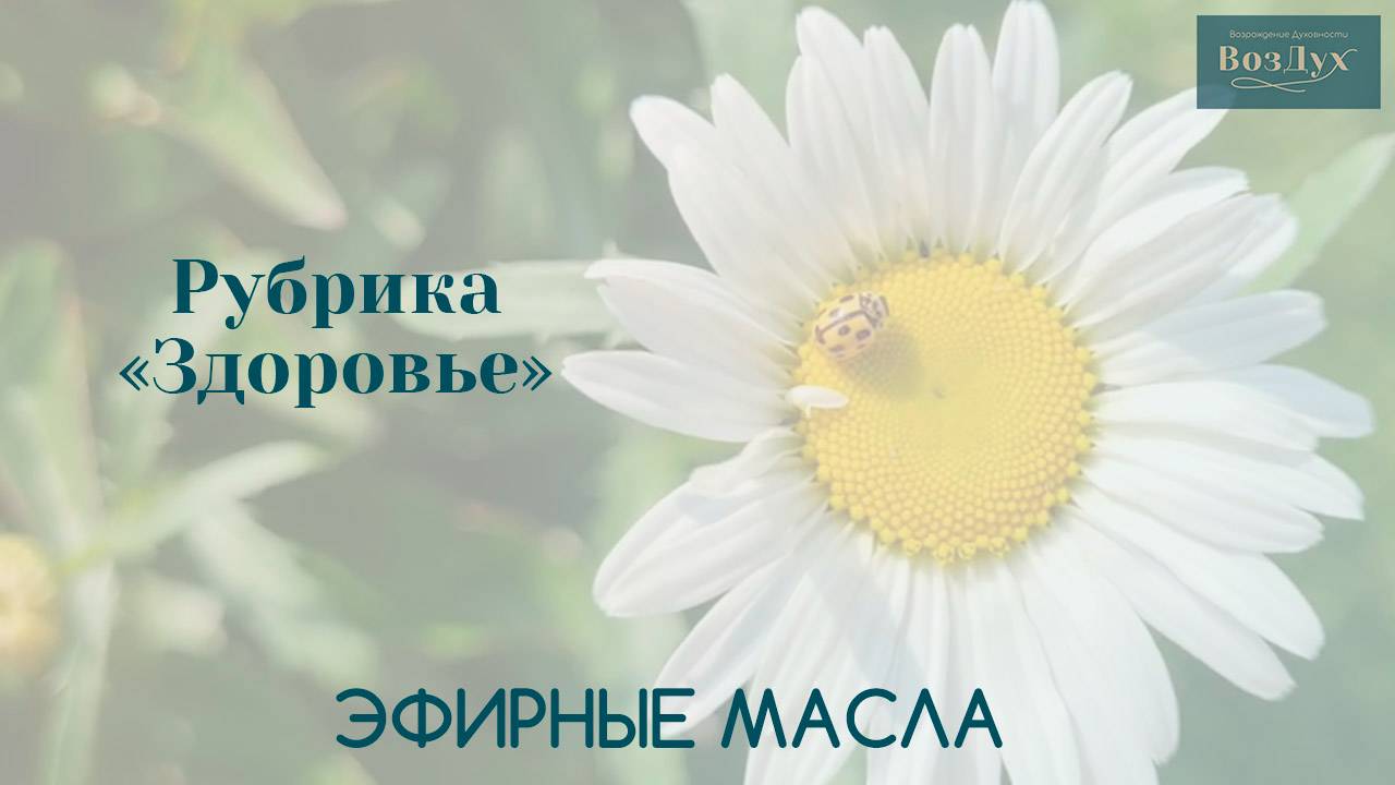 Эфирные масла | Здоровье | Татьяна Бекаревич