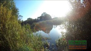 Ловля карася в сентябре на болонскую (поплавочную) удочку.