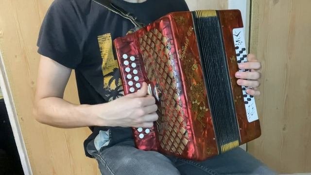 Заказная Шуйская гармонь с Регистром, ПРОДАЖА  (купить). 89102328922