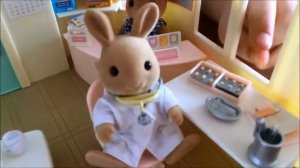 СИЛЬВАНИАН ФЭМИЛИС БОЛЬНИЦА (Sylvanian Families)