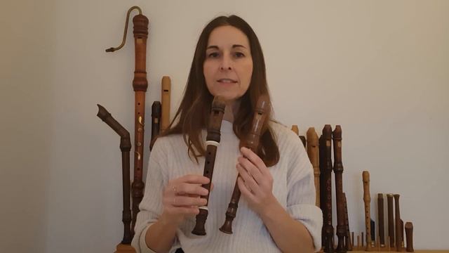 Tipps zum Kauf einer Blockflöte | Veras Blockflötenkanal #verasblockflötenkanal смотреть онлайн