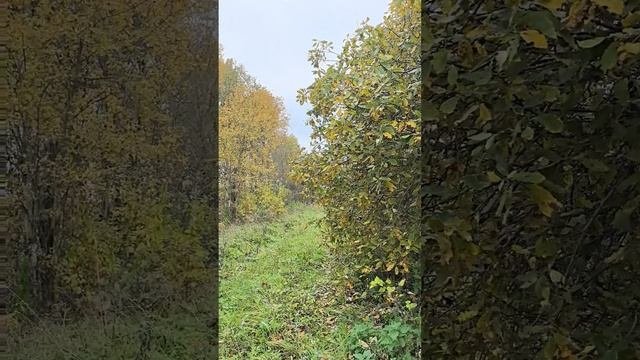 Вспомнить о...