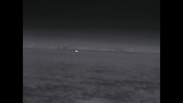 На шакальей тяге (). Сегодня «выстрел-зверь» не получилось. смотреть онлайн