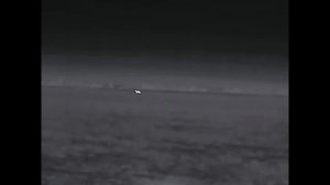 На шакальей тяге (). Сегодня «выстрел-зверь» не получилось.