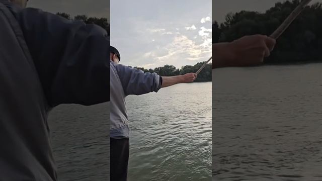 РЫБА БЕРЁТ ДАЖЕ НА ПАЛКУ #рыбалка #казахстан #рыбалка2024