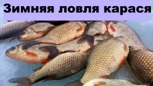 Зимняя ловля карася на мормышку с боковым кивком