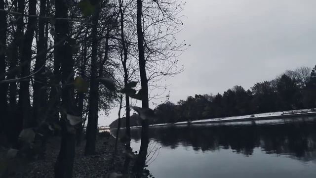 VID 20231029 171645 Севильская песенка (Федерико Гарсиа Лорка)...Павел Васильев Лахтинский смотреть онлайн