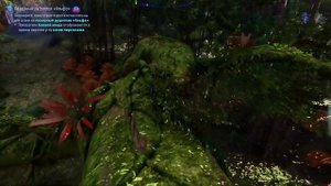 Avatar Pandora