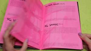 распаковка STRAY KIDS - RockStar ЛИМИТКА 樂-Star предзаказки от Aladin и Everline