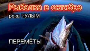 Вновь за дальний кордон на реку Чулым! Перемёты.